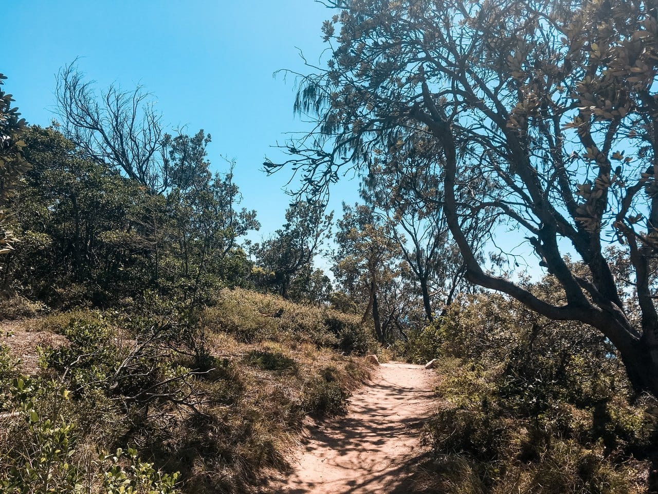 Noosa National Park Coastal Track