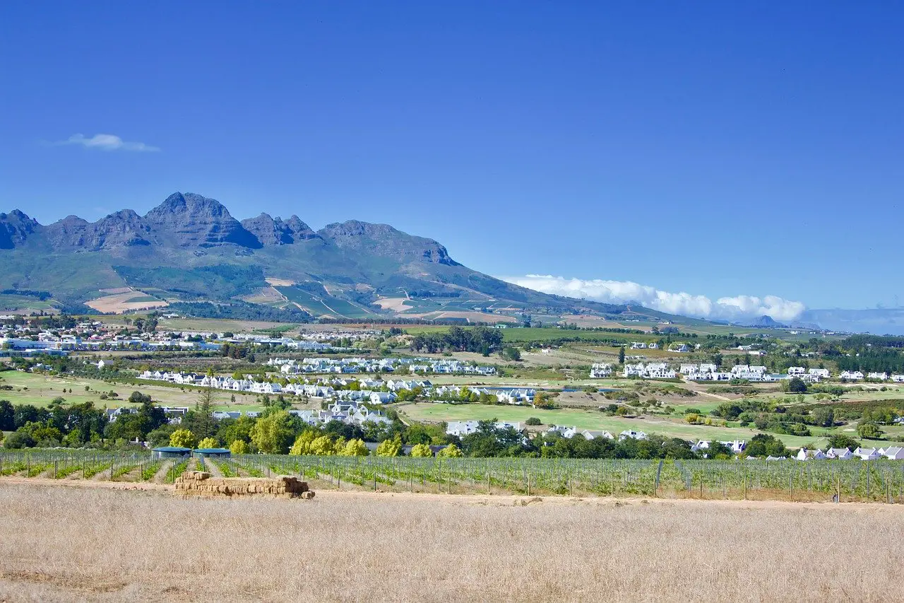 Cape Winelands in South Africa