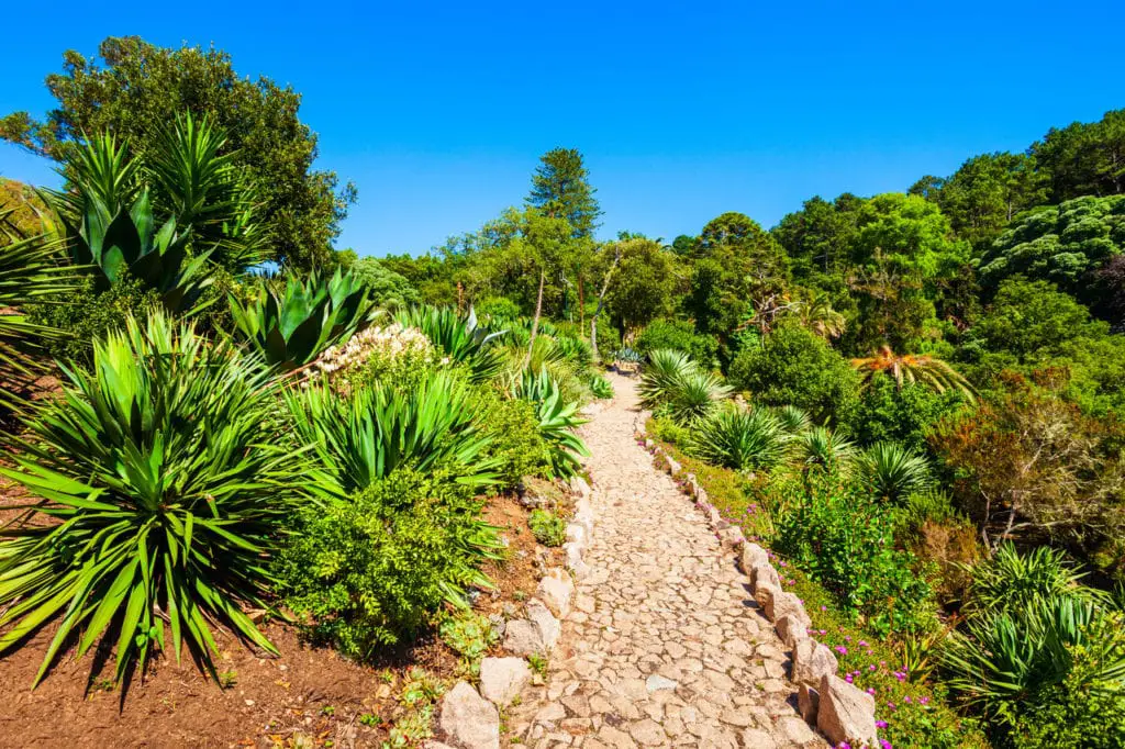 Botanical gardens in summer in Portugal