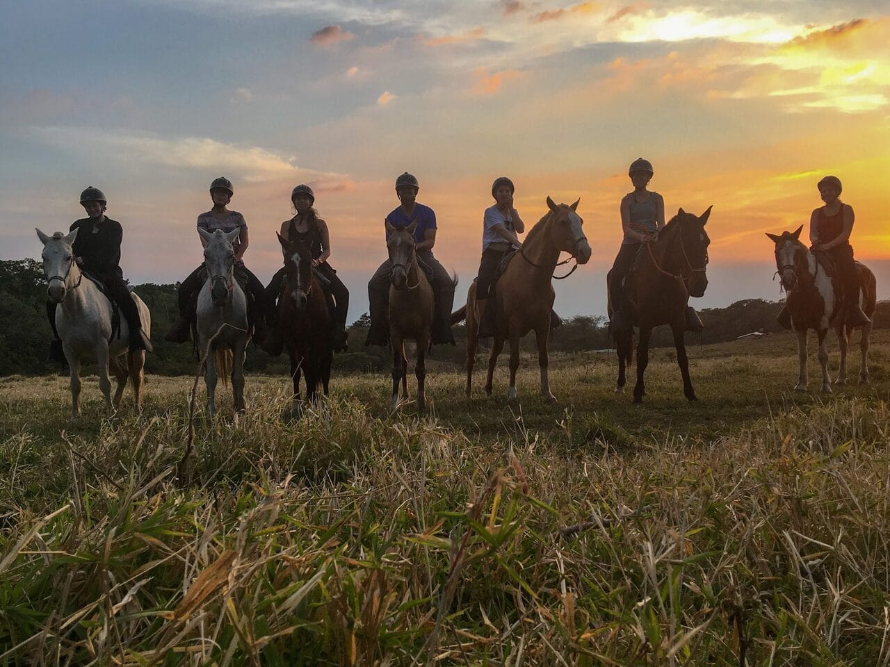 horseback riding at sunset