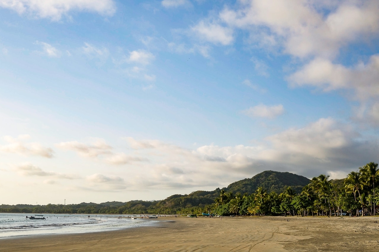 Beach with palm trees in central america.