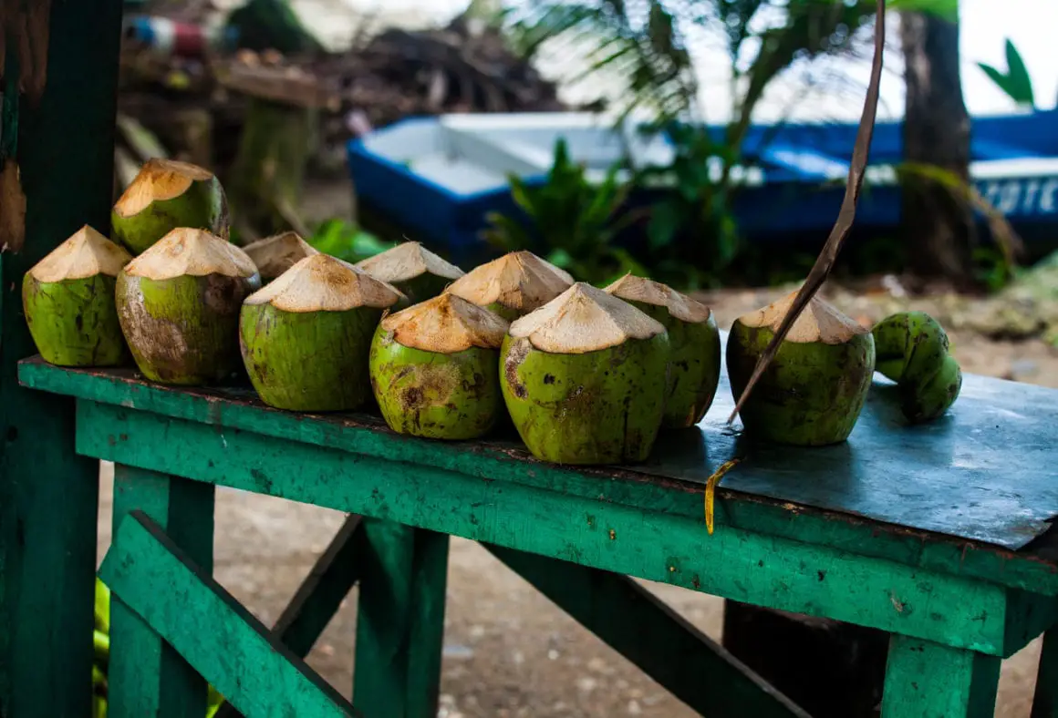 Drinking out of coconuts