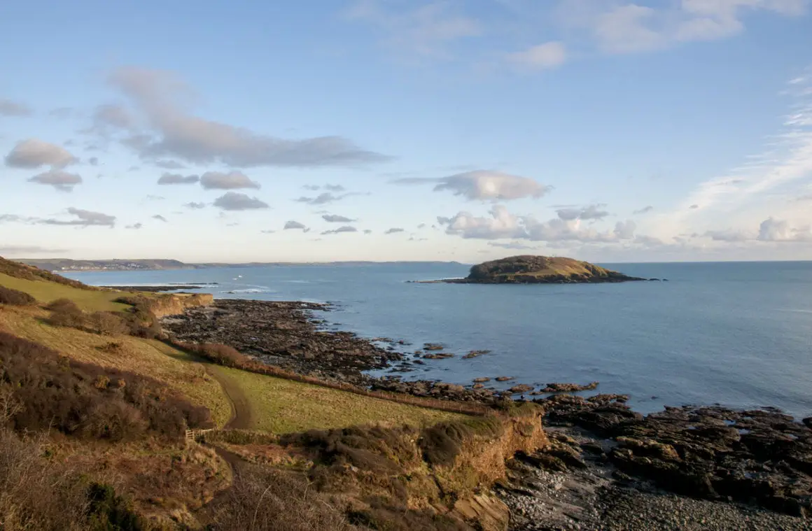 Looe island is one of the best things to do near Looe