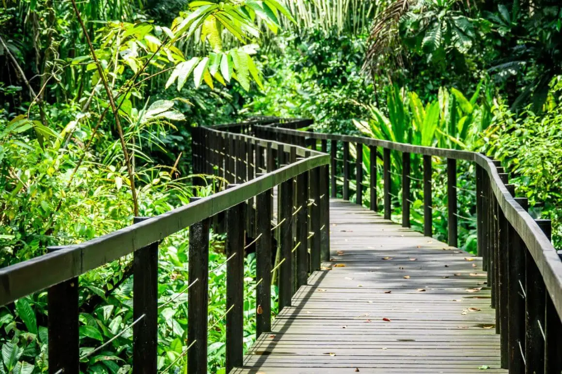 Hiking in Cahuita National Park