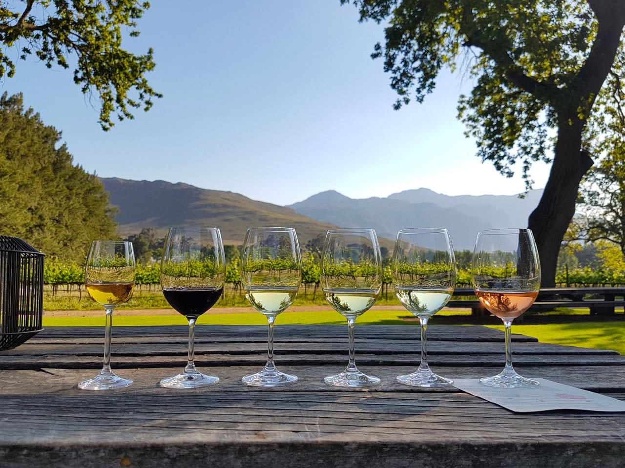 stellenbosch winelands tour