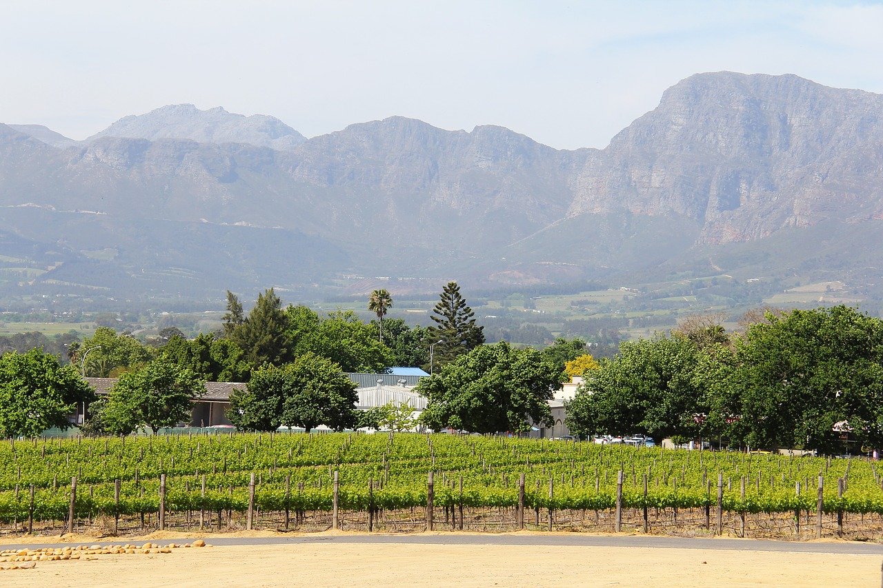 wine tour in stellenbosch