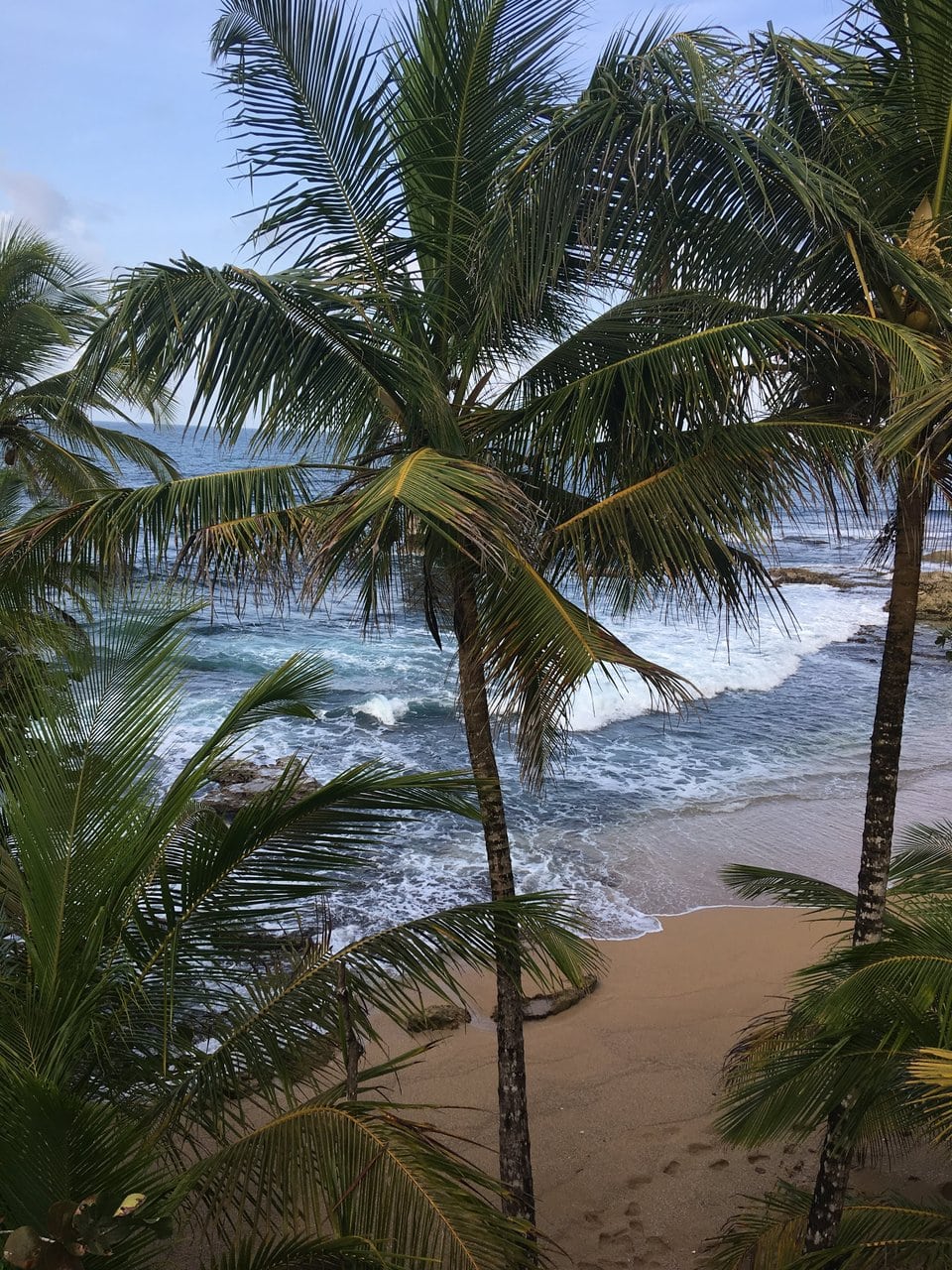 Manzanillo beach Costa Rica