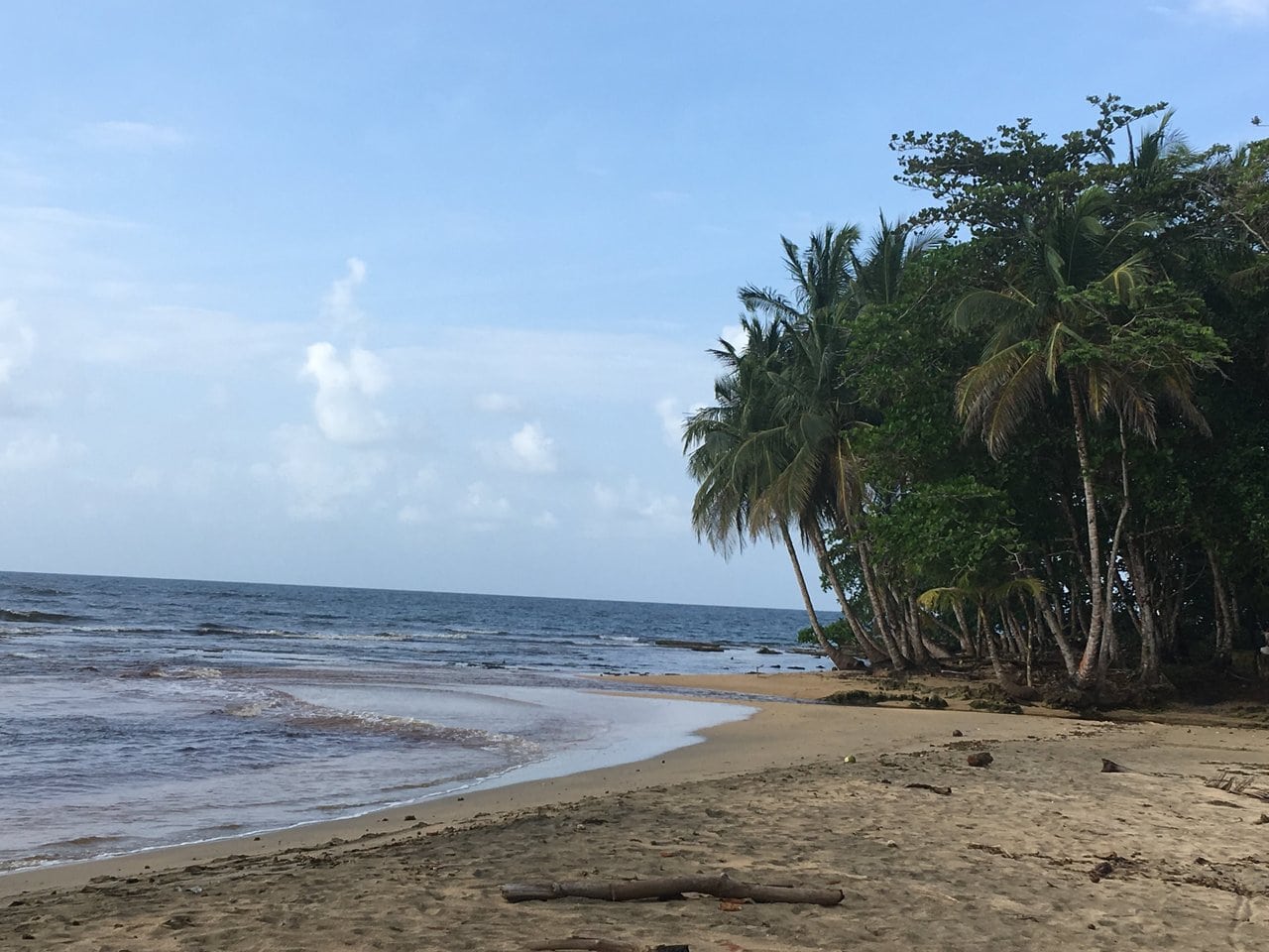 surfing Puerto Viejo