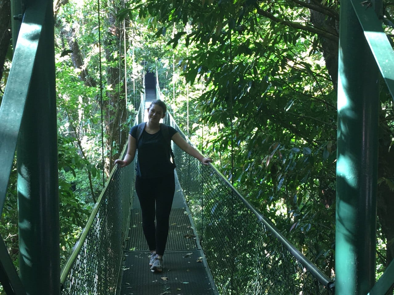 Hiking in canopies