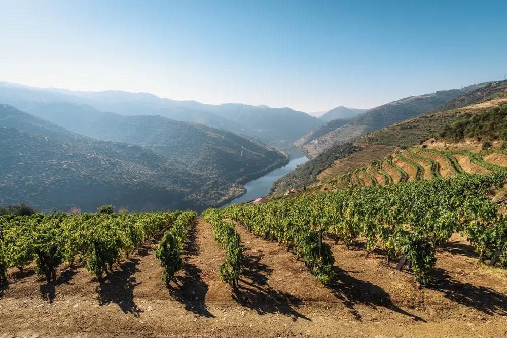 Douro Valley Portugal, a day trip you can take during your 2 days in Porto itinerary