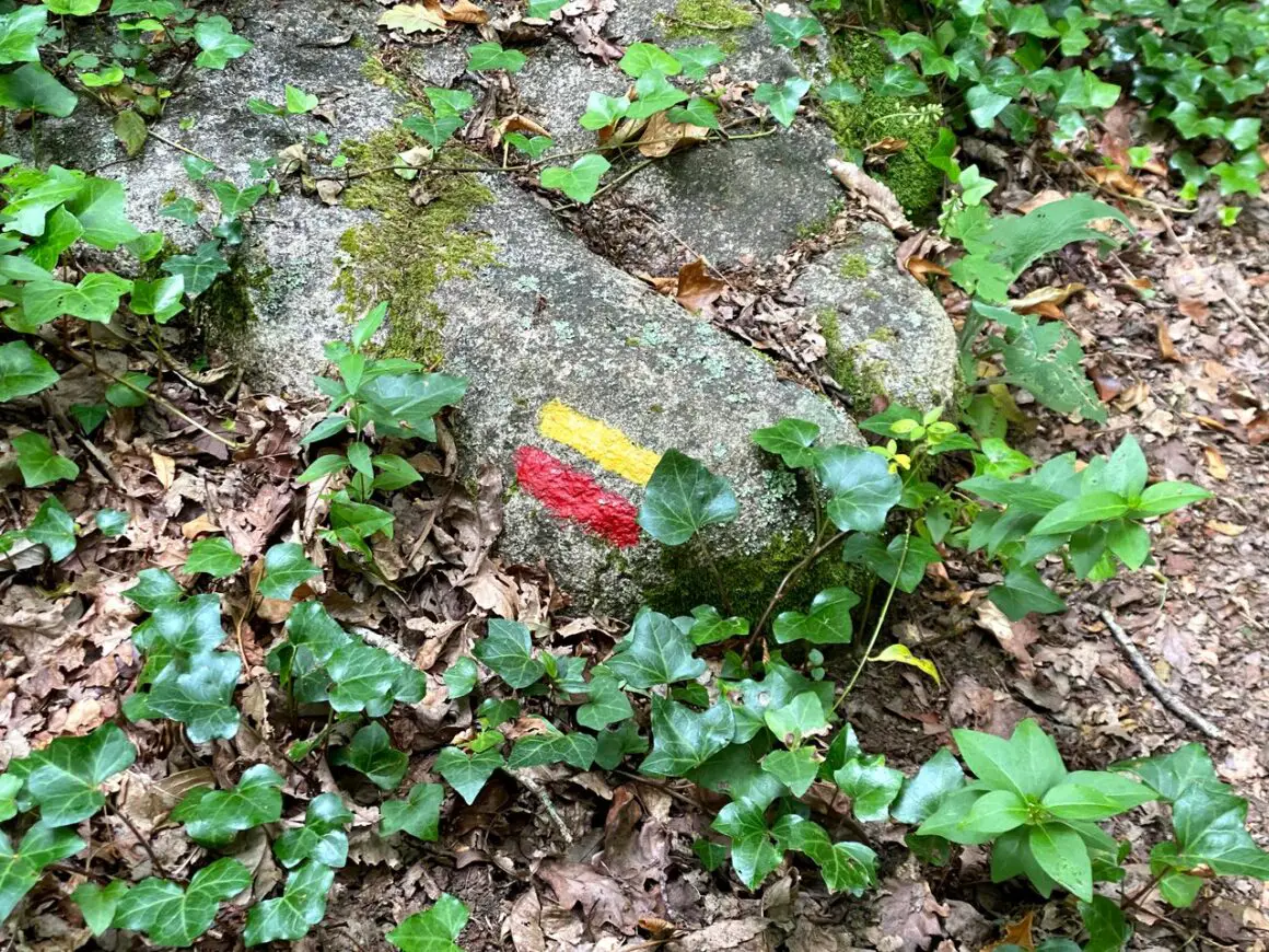 Red and yellow markers on a rock, signalling the route of the Pena Palace to Moorish Castle walk
