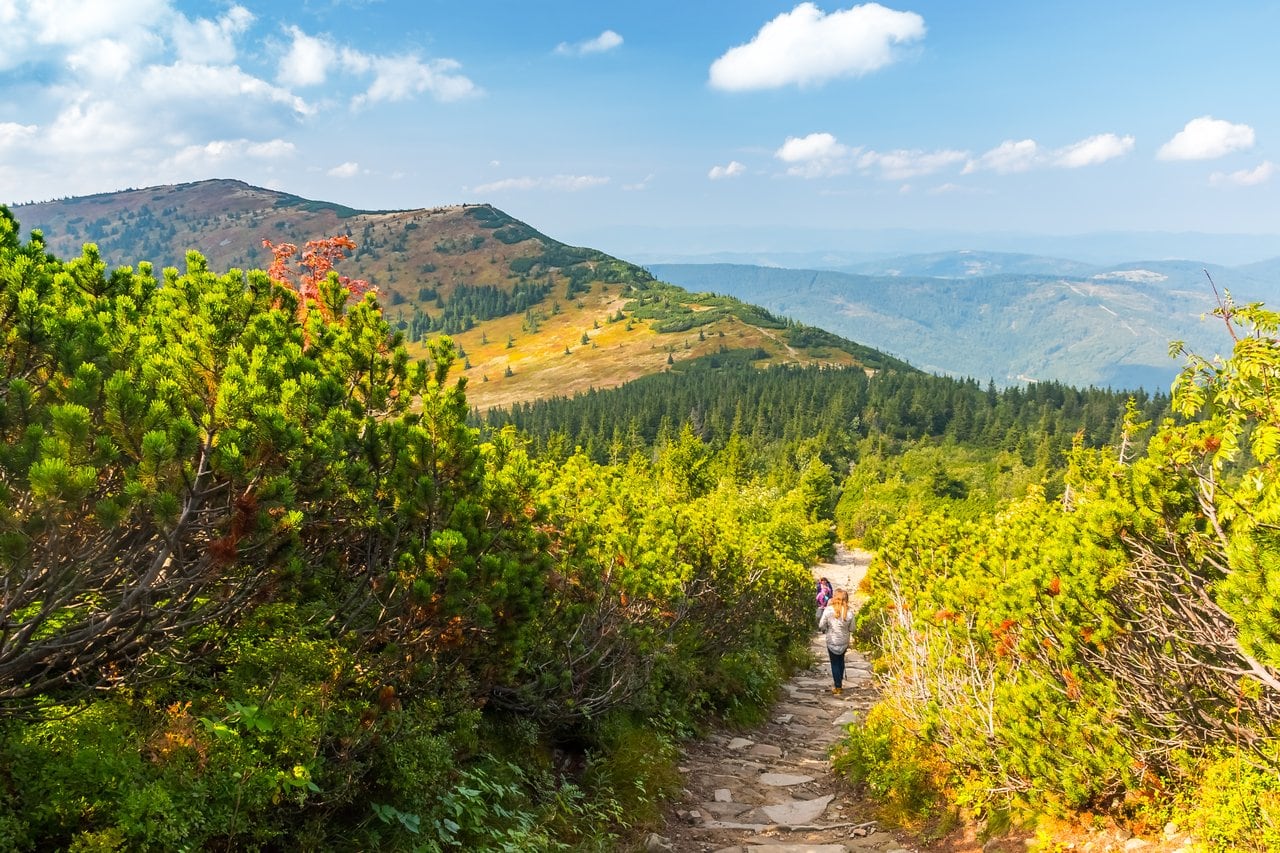 Hiking in Babia Gora National Park