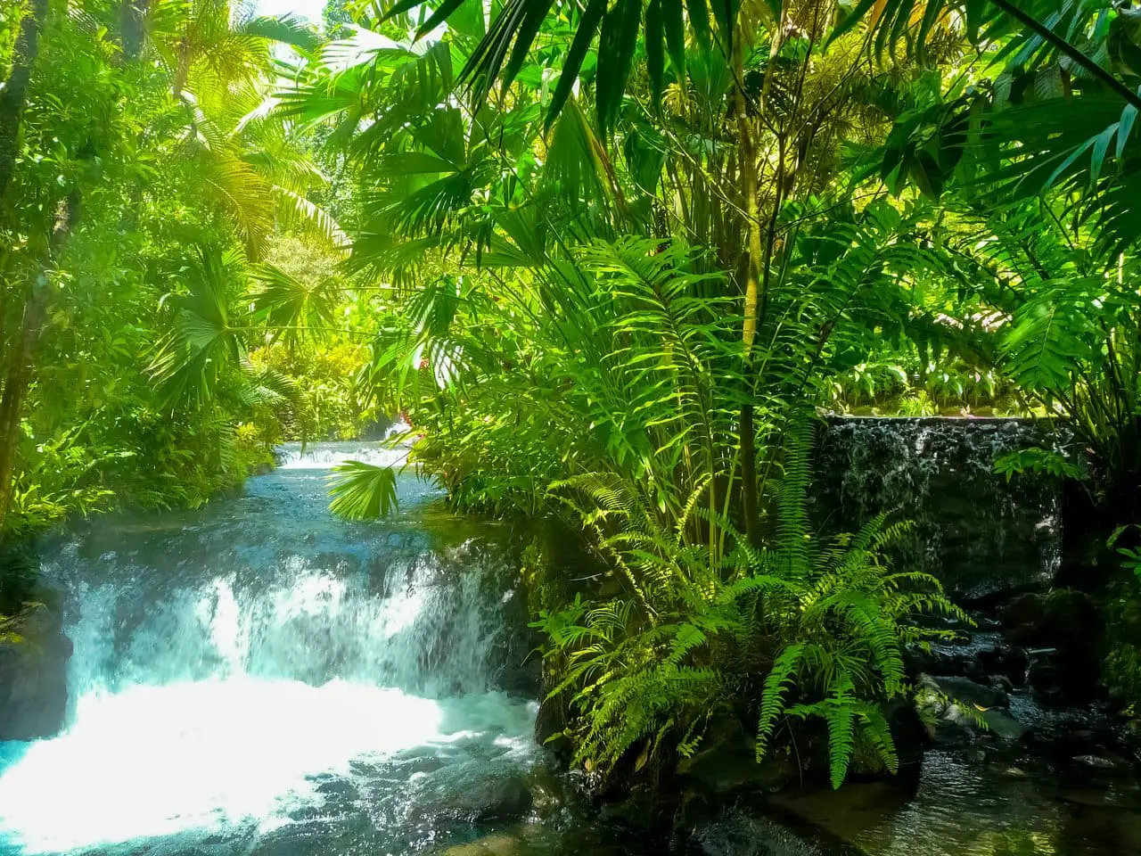Costa Rica hot springs in Arenal