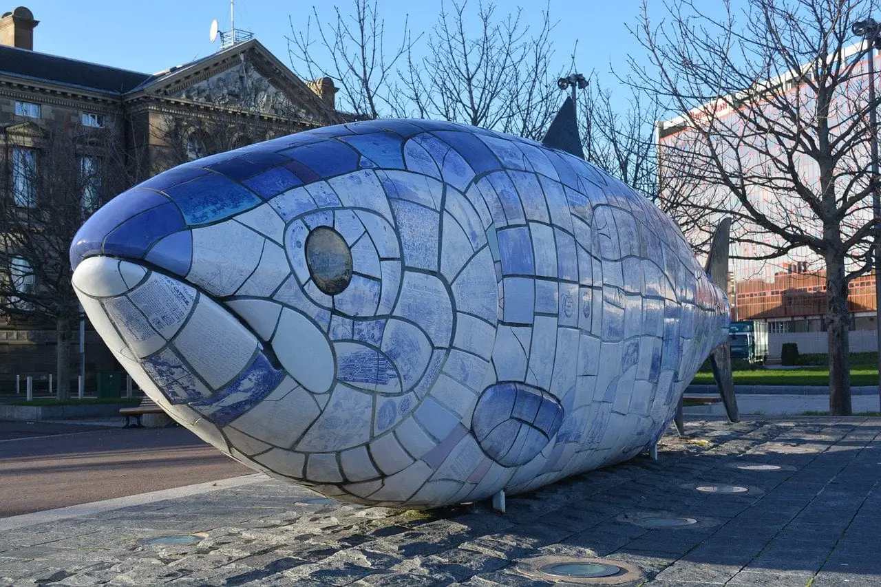 The Salmon of Knowledge, one of the most unusual things to see in Belfast.