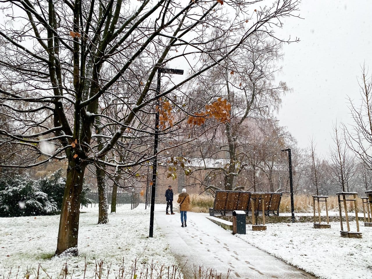 Poland in the snow