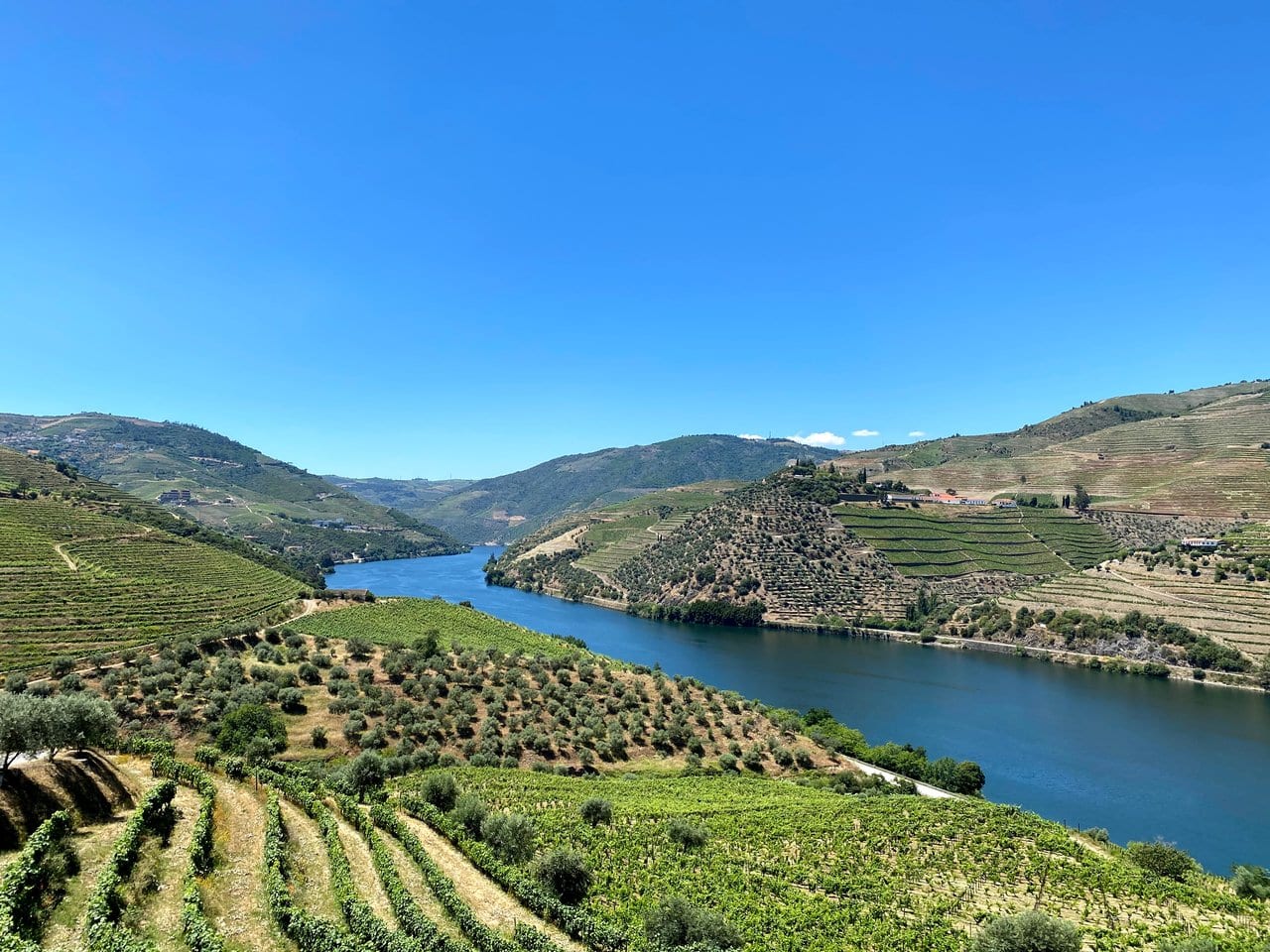 Wine estate in Portugal