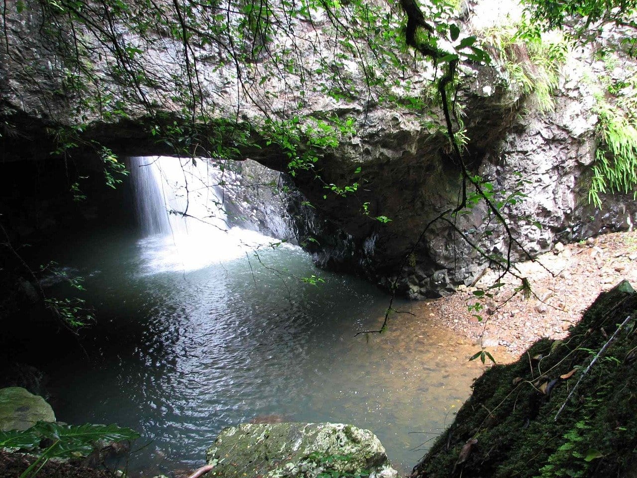 Waterfall at Springbrook National Park