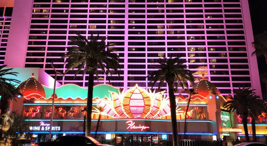 Flamingo casino vegas