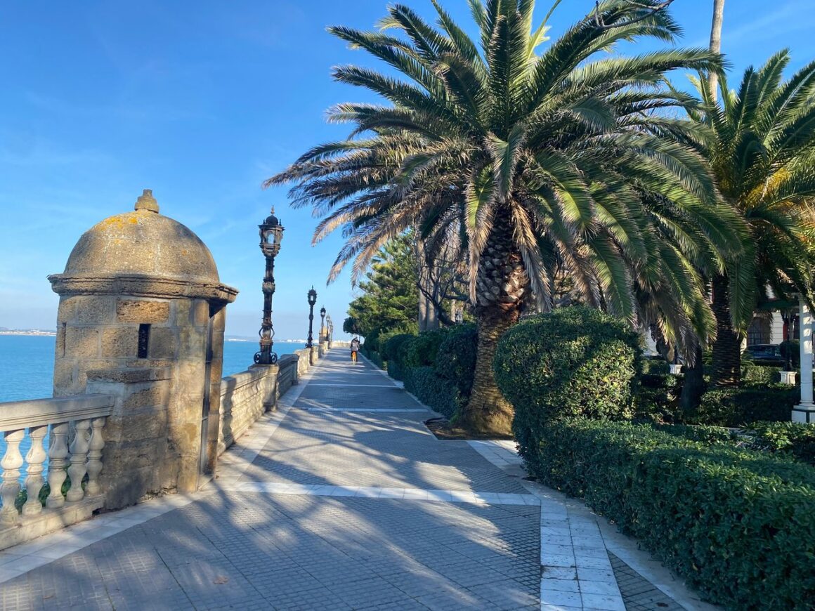 Shaded coastal promenade, lined with palm trees, with the ocean in the background.