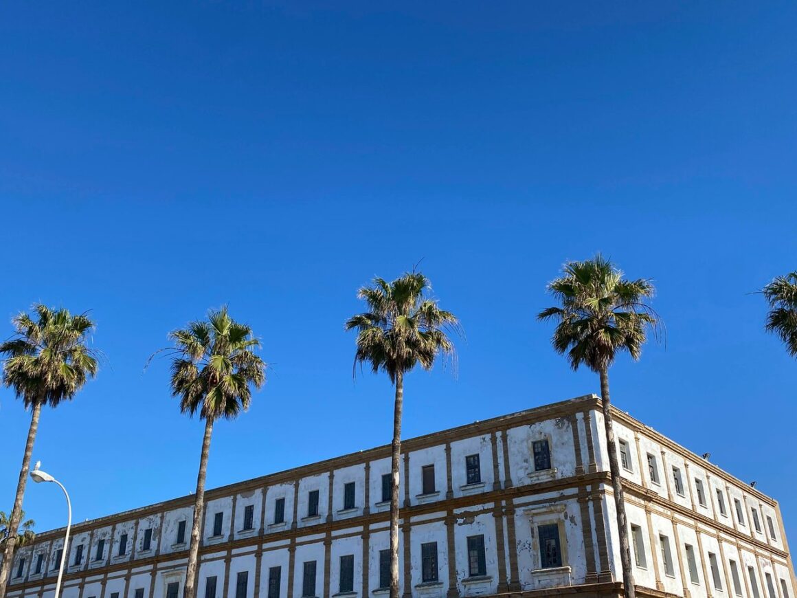 An old-fashioned Spanish building in the sun, with palm trees in front of it