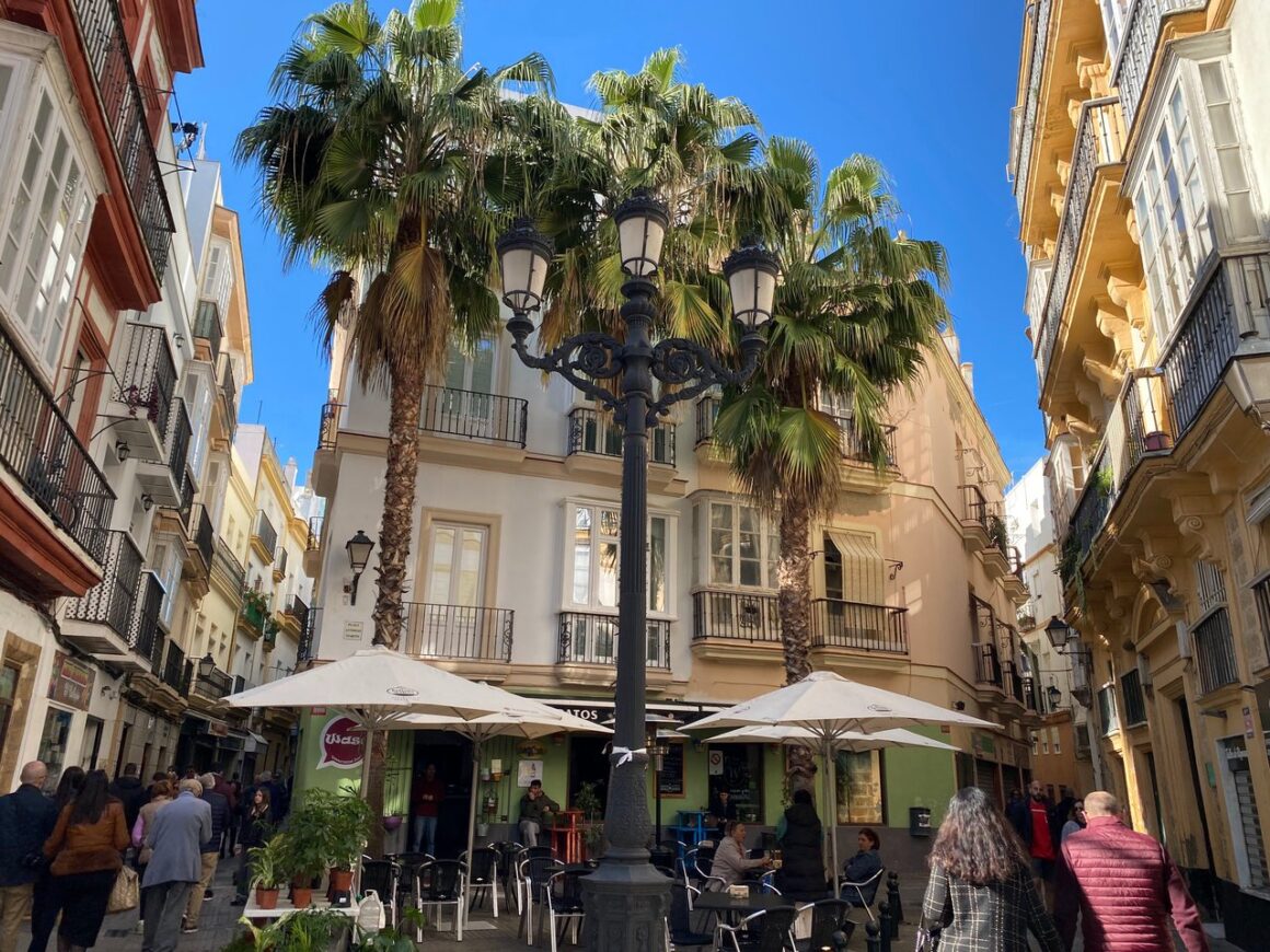 Palm trees hang over outdoor diners in Cadiz Old Town