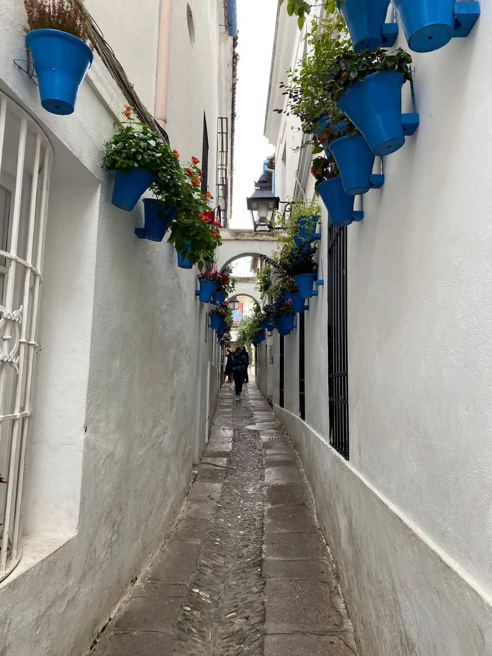 Blue buckets filled with flowers hanging from white walls at Calleja de las Flores, Cordoba.