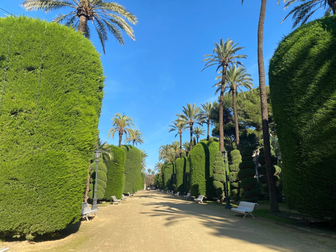 Genovés Park Cadiz