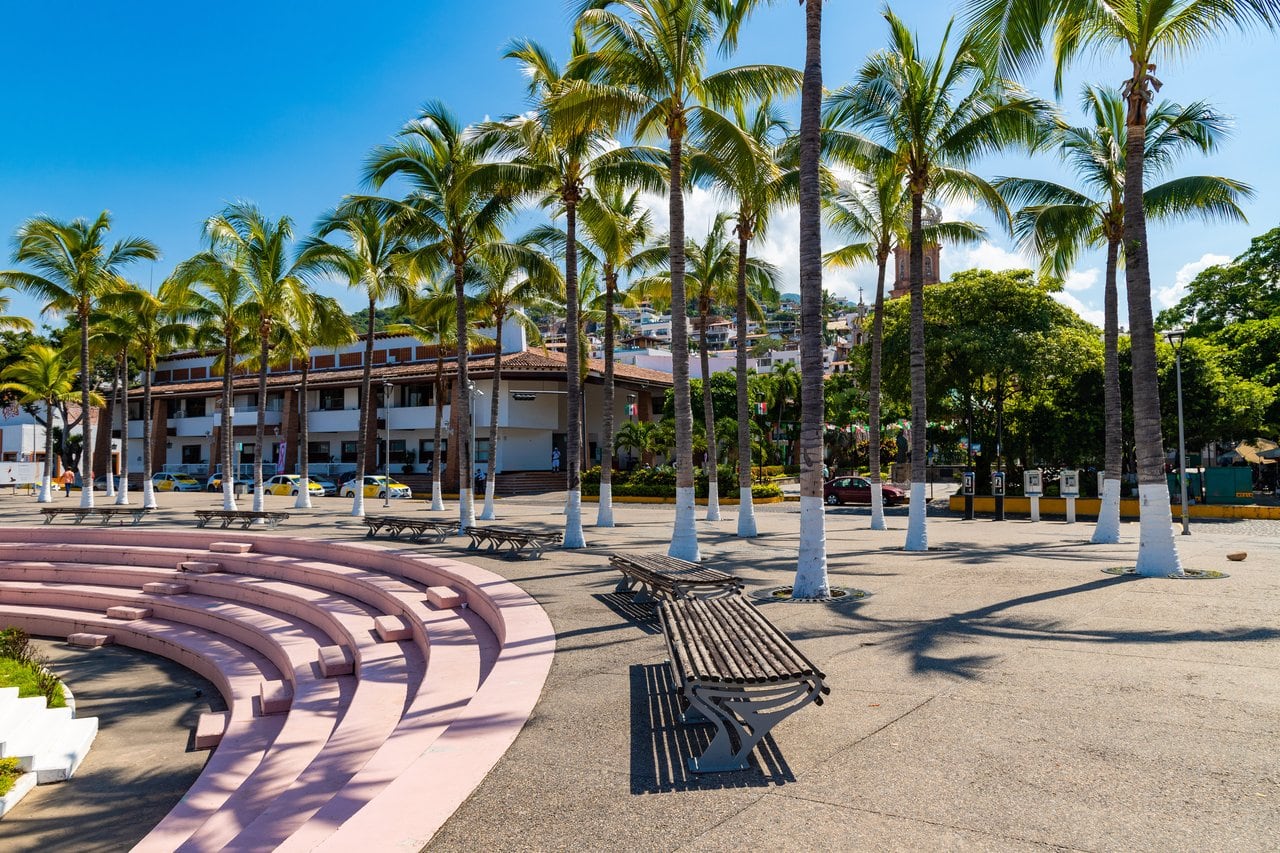 Palm trees at town plaza in Puerto Vallarta Mexico