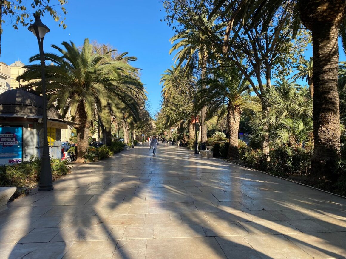 Walking through Malaga Park in the sun