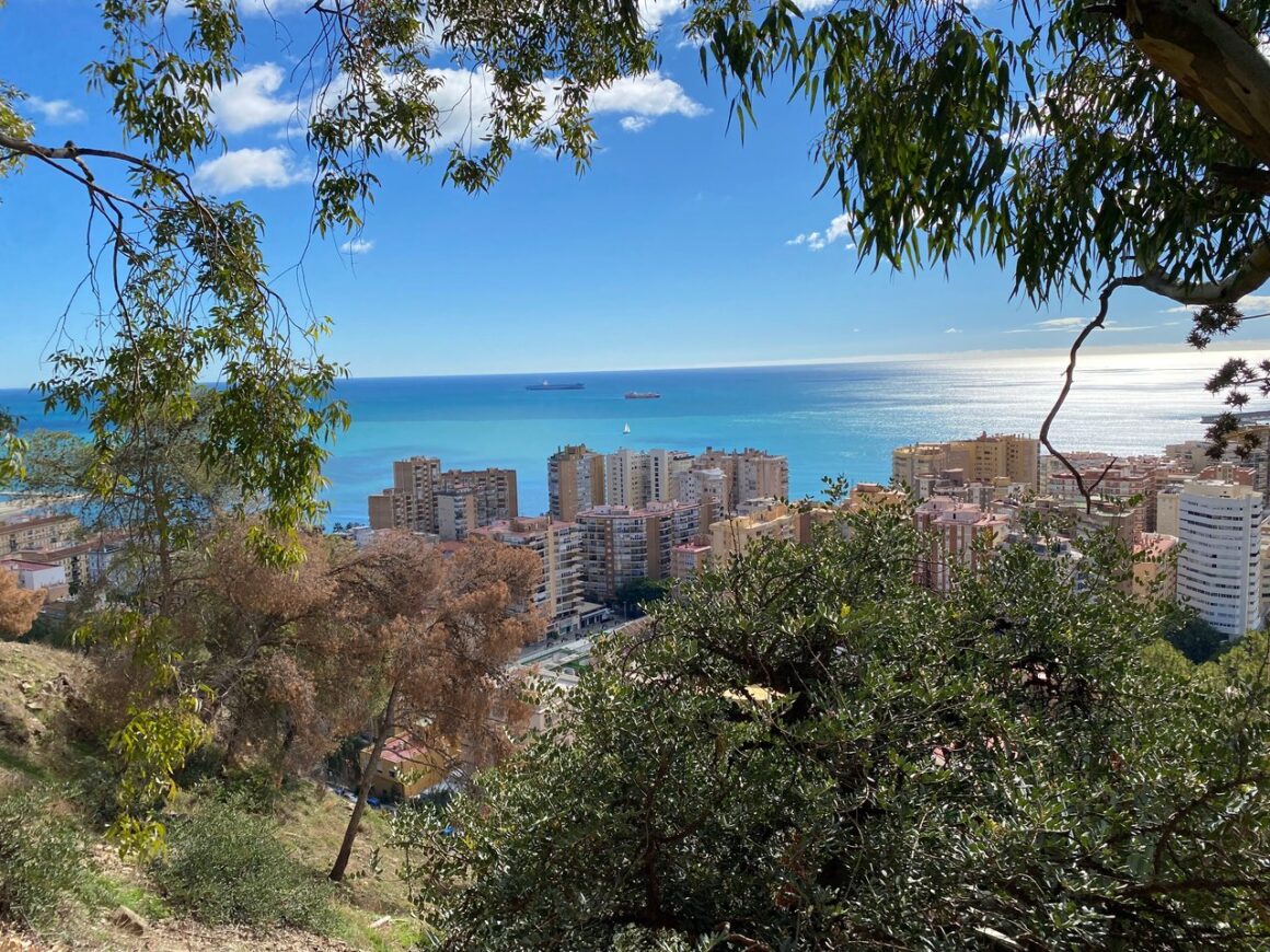 View of Malaga Skyline from a viewpoint.