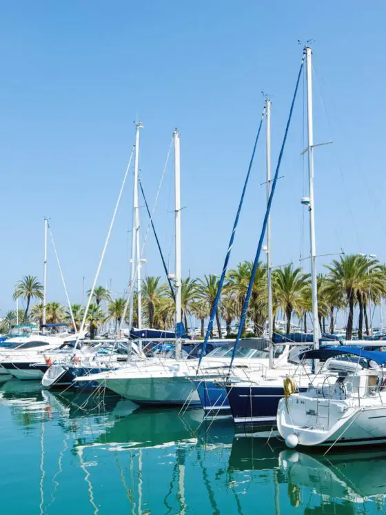 Best boat trips in Malaga Spain