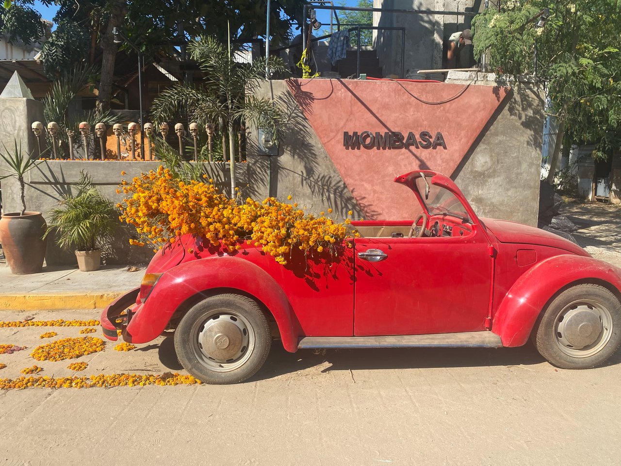 The trunk of a red car filled with overflowing orange flowers, symbols of Day of the Dead in Mexico