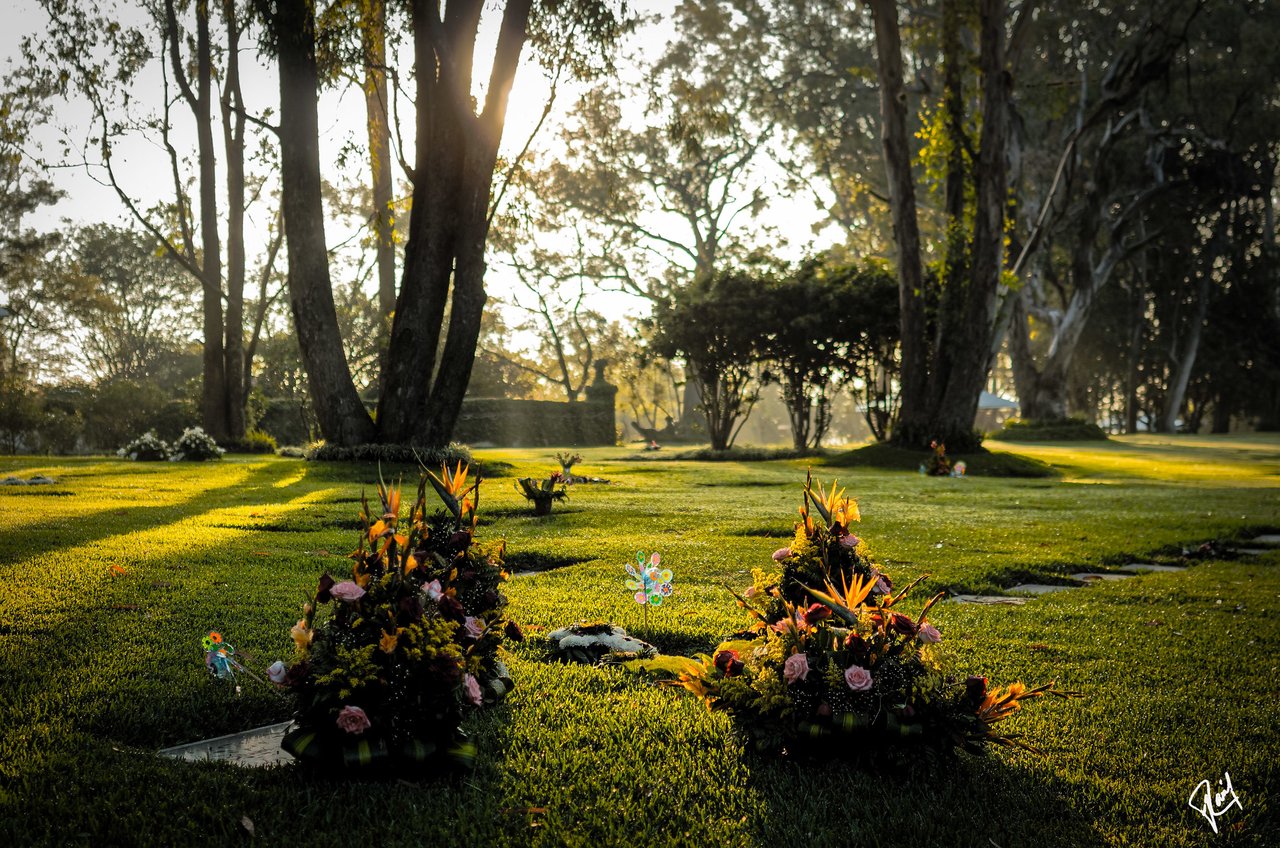 Dia de los muertos celebrations in Spain include somber visits to loved ones' graves. It looks very different to those in Mexico