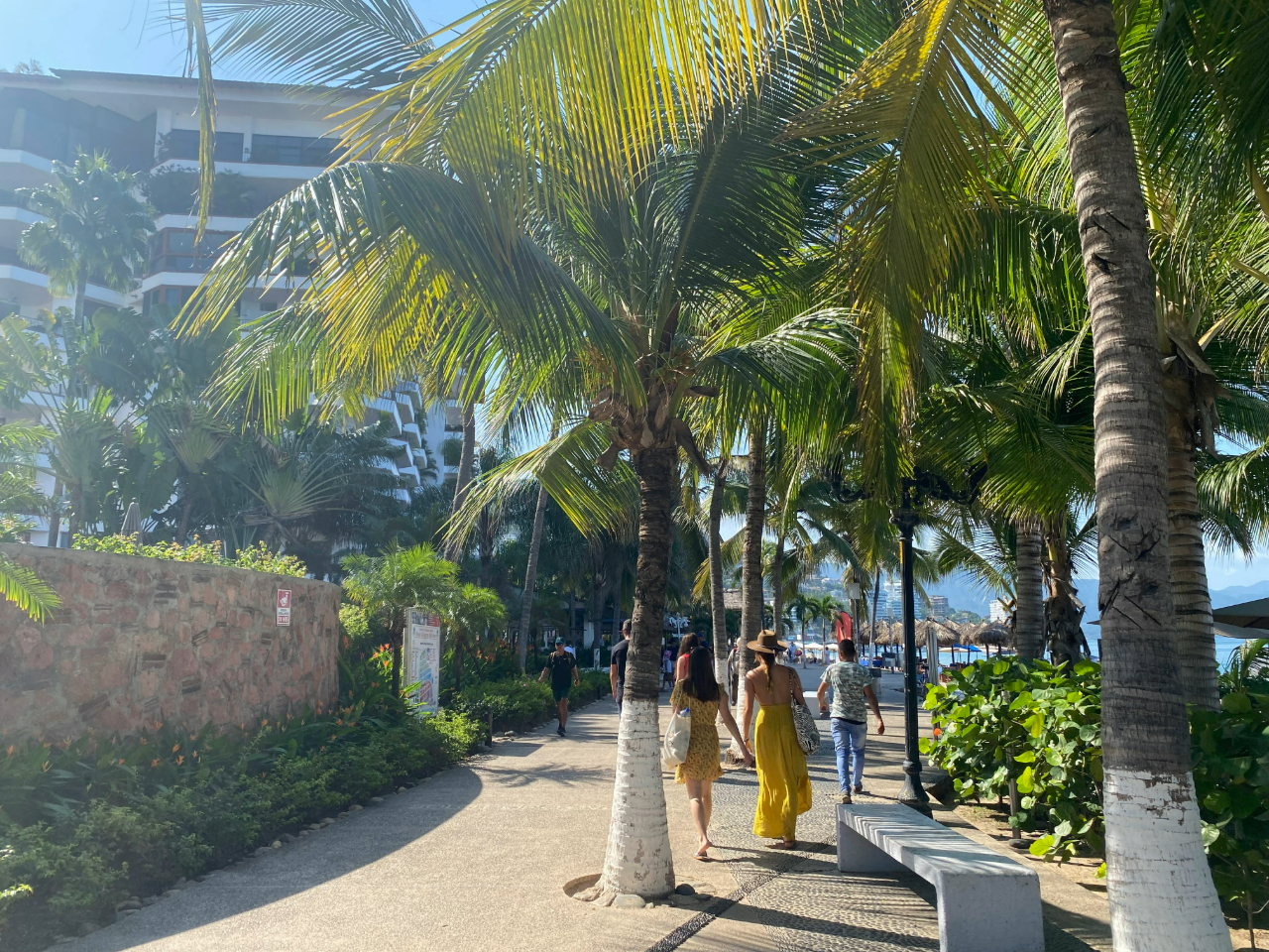 A scenic palm-lined walkway in Puerto Vallarta, Mexico, with people strolling under the bright sun. The path curves past lush greenery and a resort-style building, leading toward the ocean and beachfront palapas in the background.